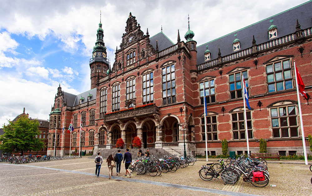 Обучение в Нидерландах: страна тюльпанов, велосипедов и передовых знаний