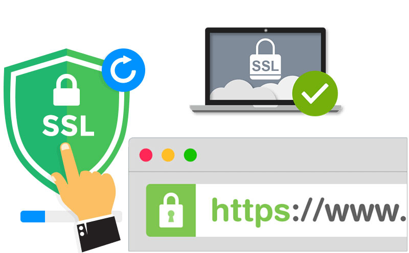SSL-сертификат: определение и важные особенности